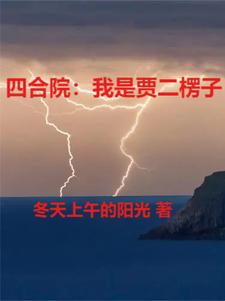 四合院里的人生导师小说